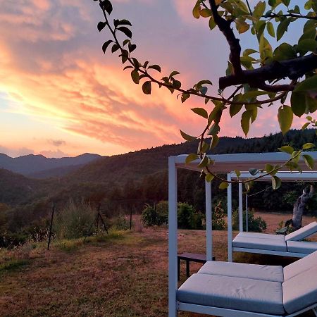 Villa Giuliana B&B 斯卡尔佩里亚 外观 照片