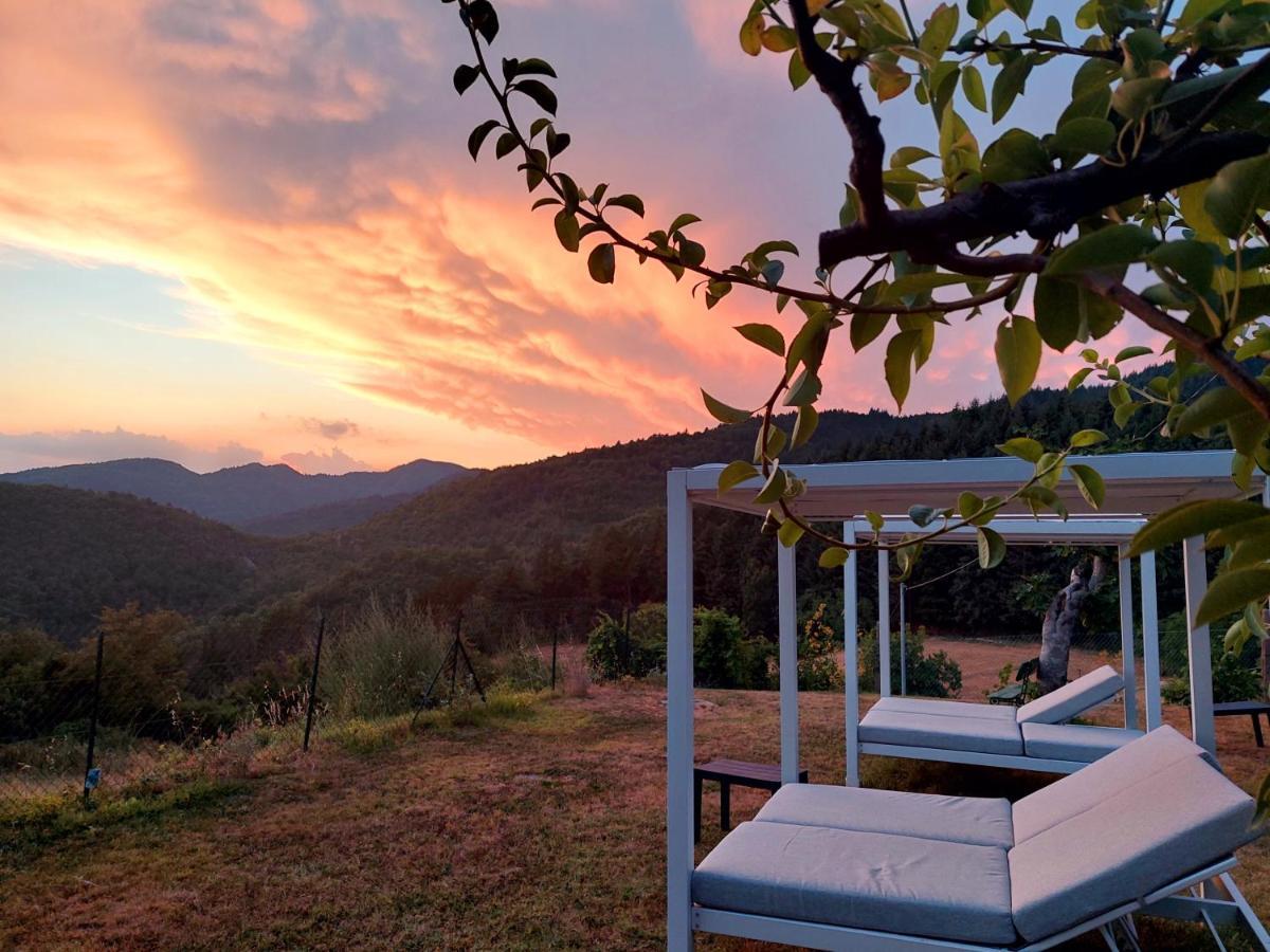 Villa Giuliana B&B 斯卡尔佩里亚 外观 照片