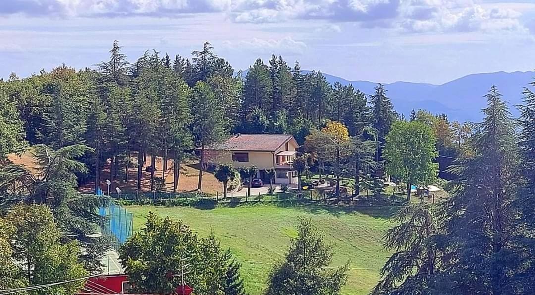 Villa Giuliana B&B 斯卡尔佩里亚 外观 照片