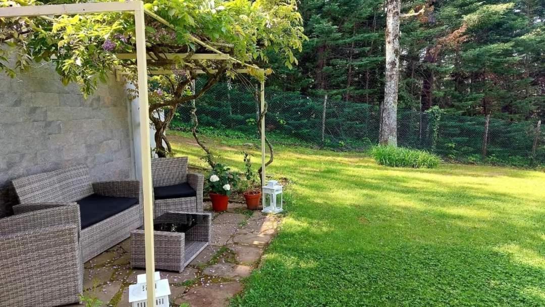 Villa Giuliana B&B 斯卡尔佩里亚 外观 照片